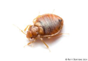 qkwkrk9k7kd0nqv02qo01qy08qnkeqek5qy0mkpkeqzs9qhsikbk1qlsvqvkaqf01qvkwqokbqakwqakgktkmkvk8k